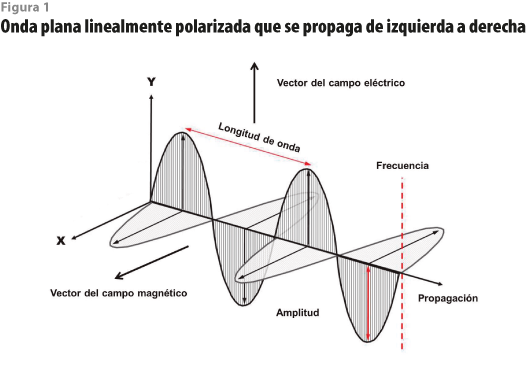 rde30_art01_fig01