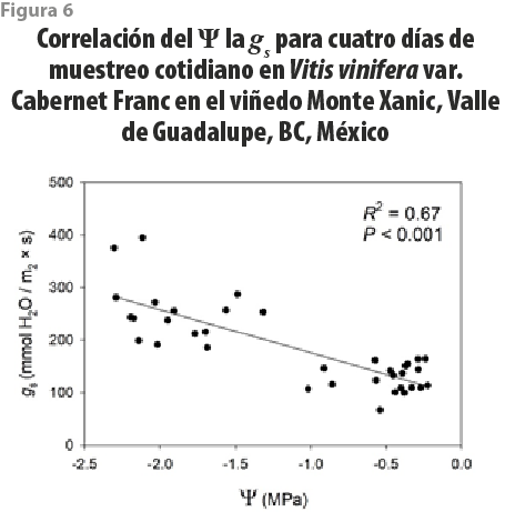 RDE34_art05_fig06